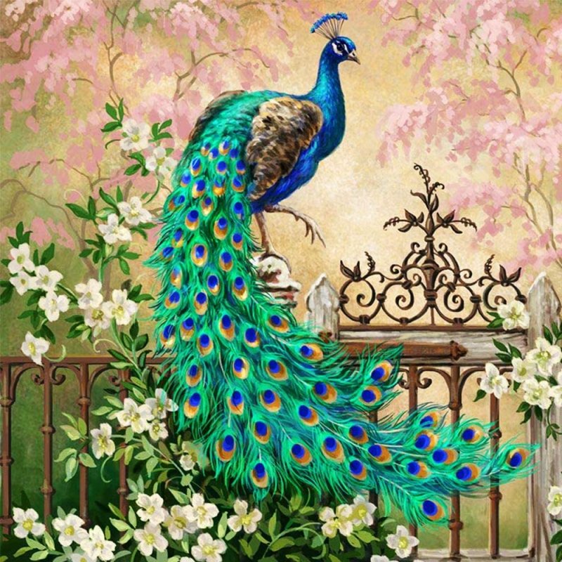 Peacock Feathers цветы