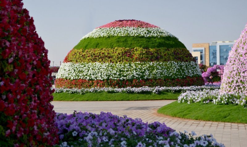 Dubai Miracle Garden амфитеатр
