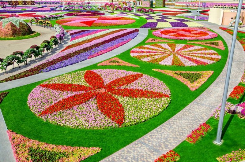 Dubai Miracle Garden рекорд гинеса