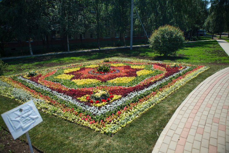 Цветы Подмосковья