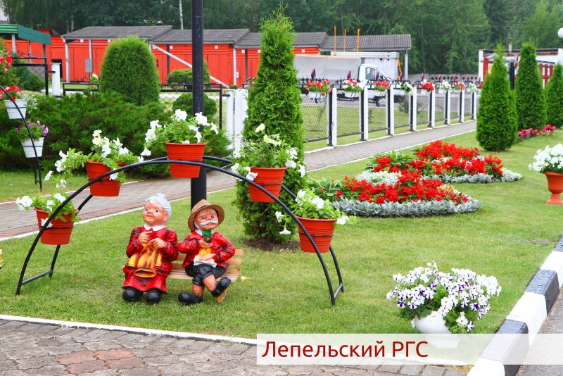 Озеленение детского сада
