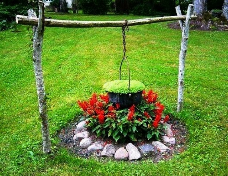 Многолетники для клумбы