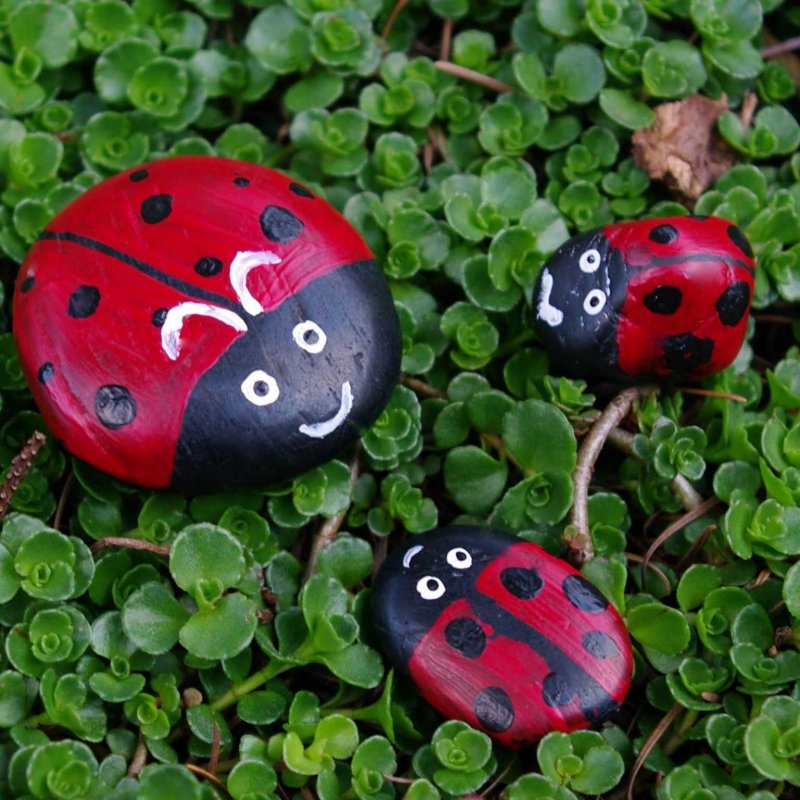 Божьи коровки из камней