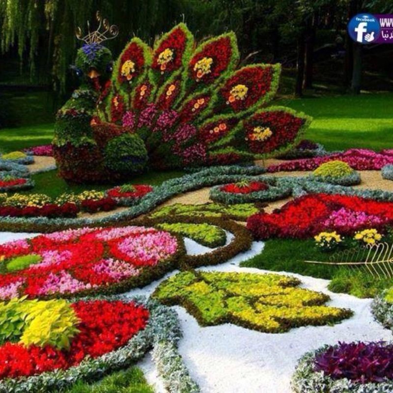 Орнаментные клумбы