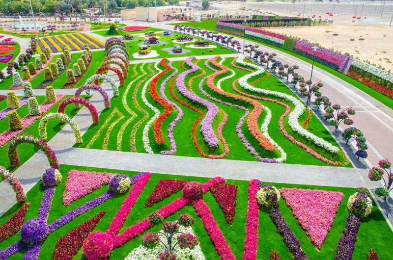 Цветочный сад Miracle Garden