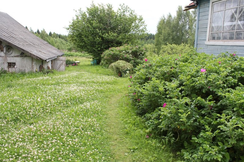 Огородик в деревне