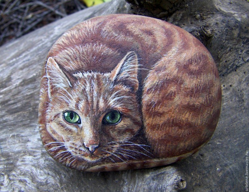 Котики на камушках