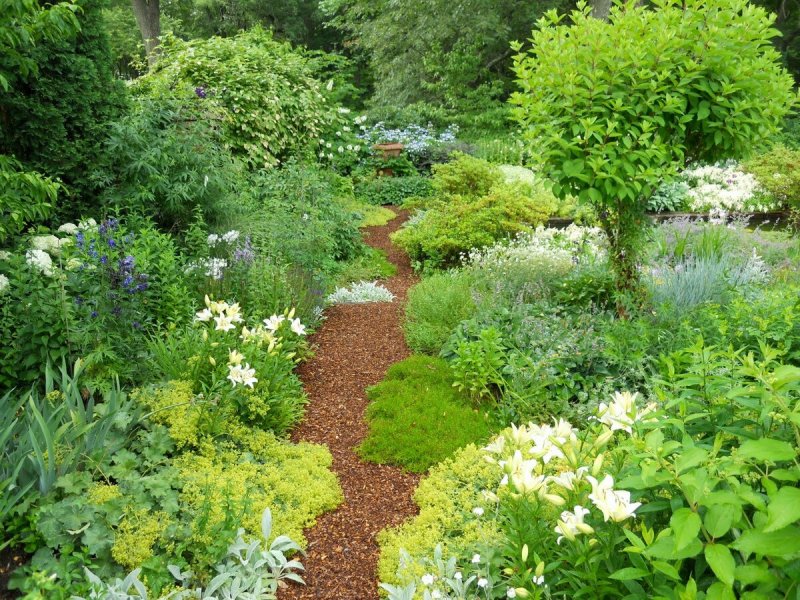 Natur Garden стиль ландшафт