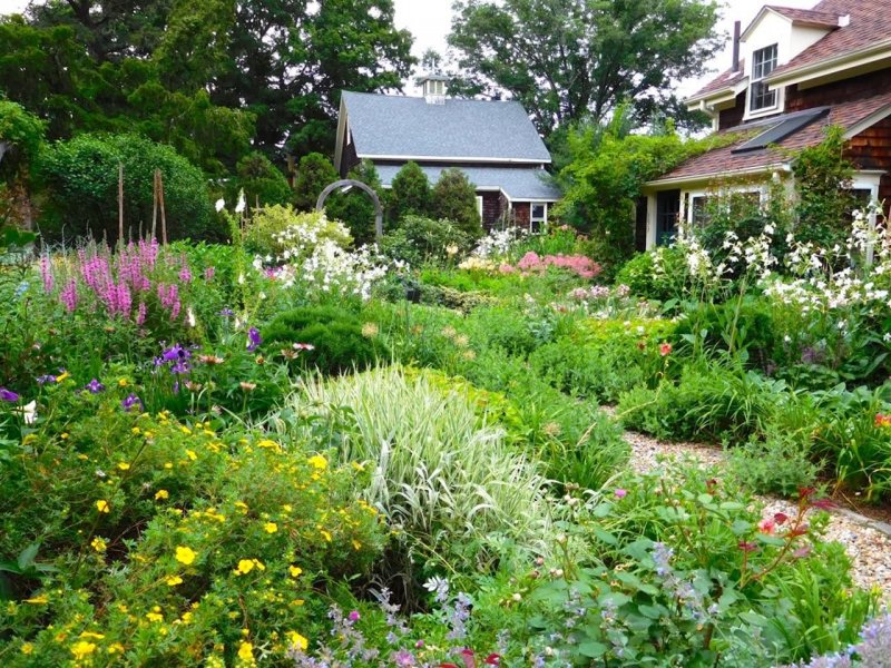 Коттеджный сад (Cottage Garden)