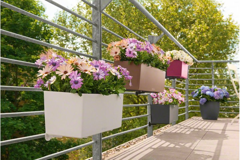 Balconera Color 50 мускатный