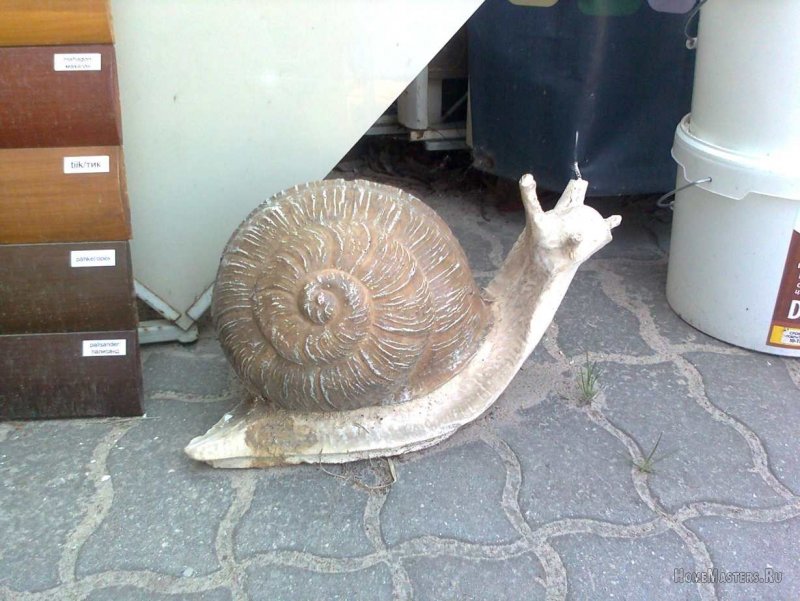 Улитка и ремонт