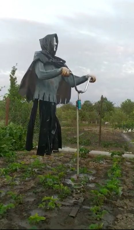 Страшное пугало на огороде