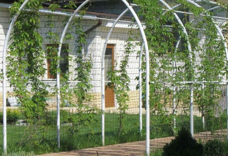 Полуарка Садовая для винограда