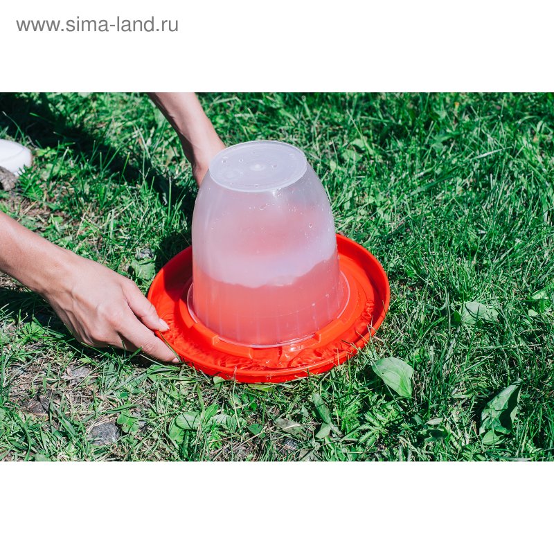 Поильник для птиц садовый