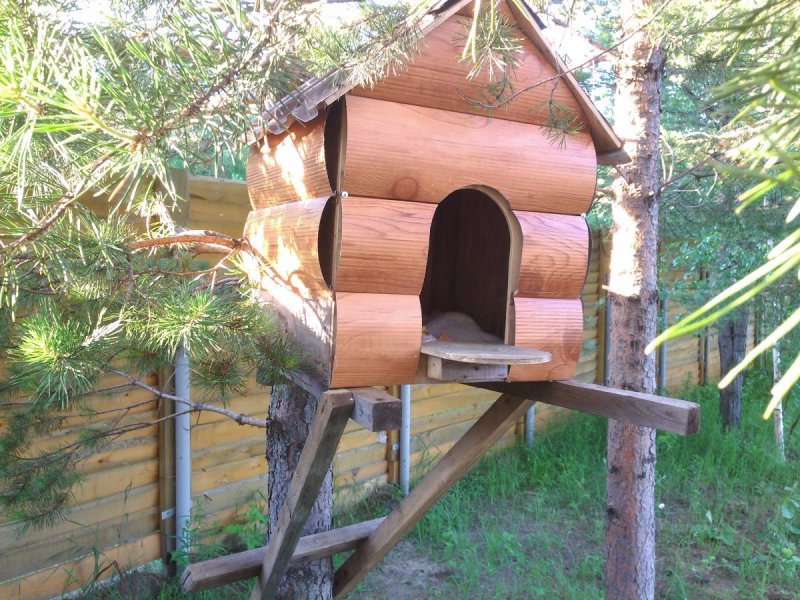 Теплые домики для белочки