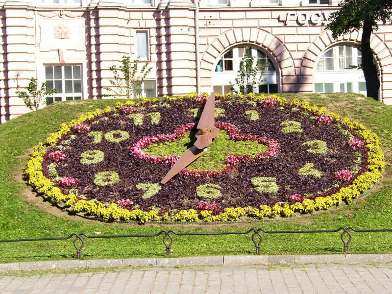 Клумба часы из цветов