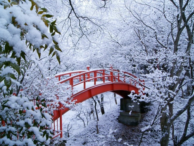 Japan Landscape Винтер