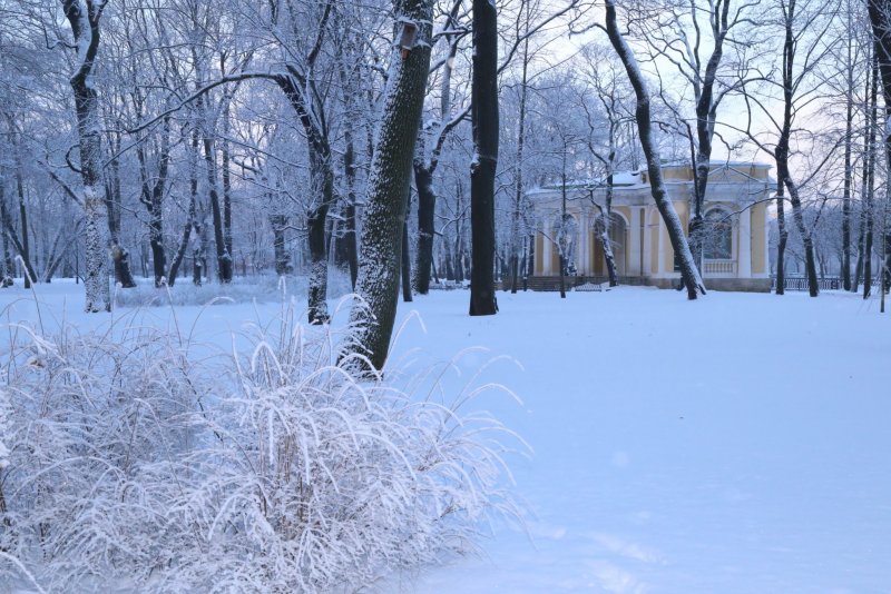 Зимний огород
