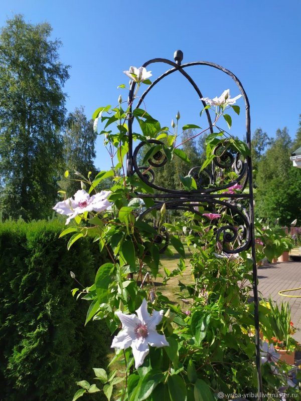 Клематисы опора в Леруа