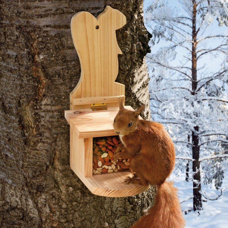 Кормушка для белки