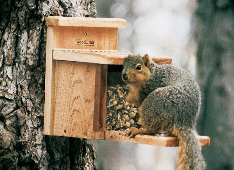 Кормушка для белок nut Bar