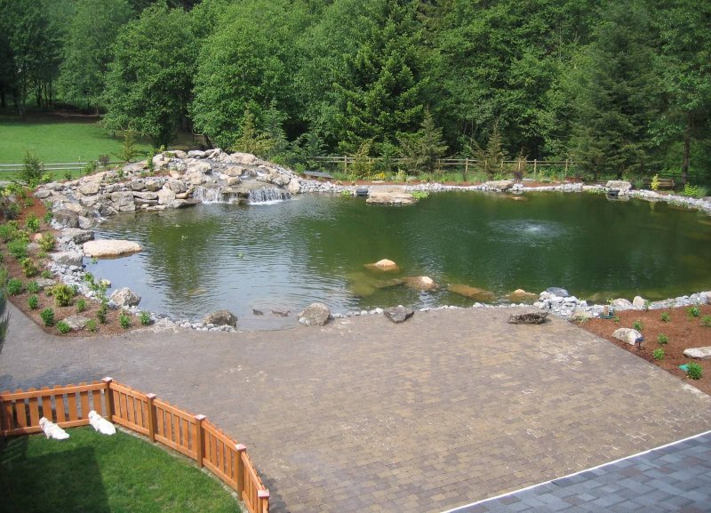 Водоема для купания красивый