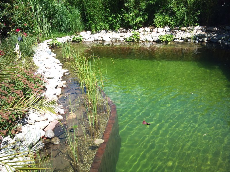 Природный водоем для купания