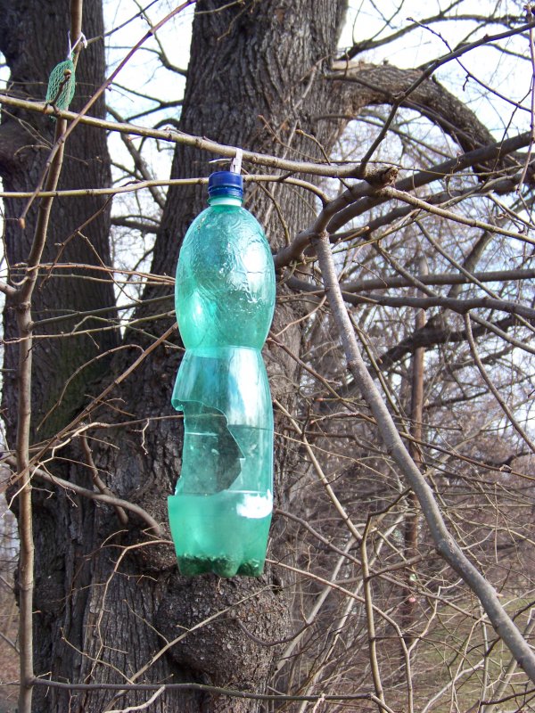 Кормушка из бутылки