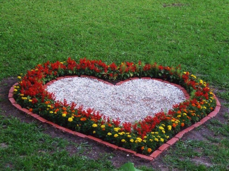 Клумбы из цветов