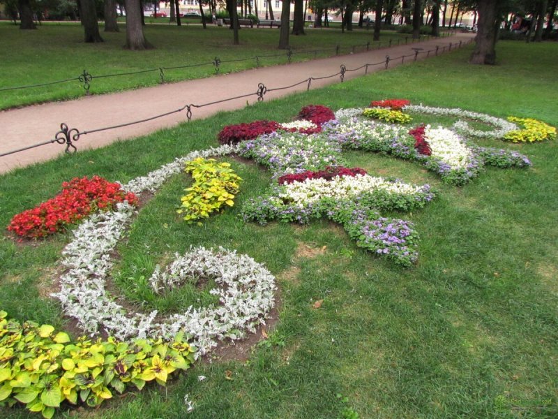 Красивые цветники и клумбы