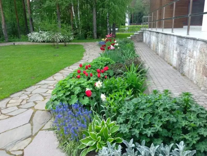 Красивые дорожки в саду