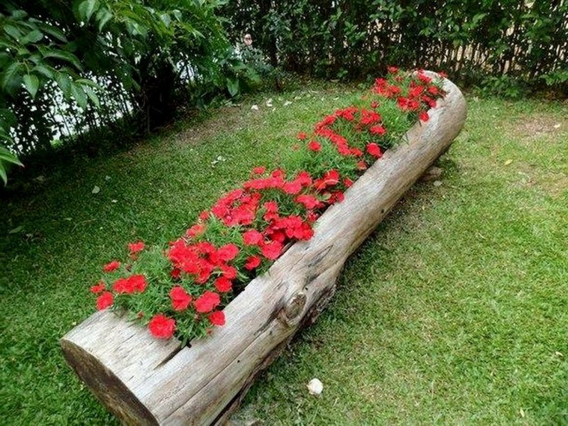 Клумба в бревне