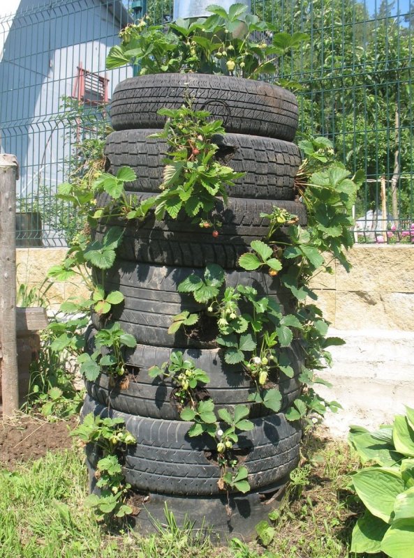 Вертикальная клумба из шин