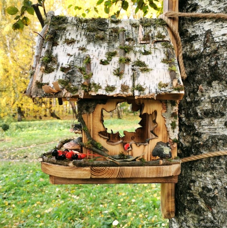 Необычные кормушки для птиц