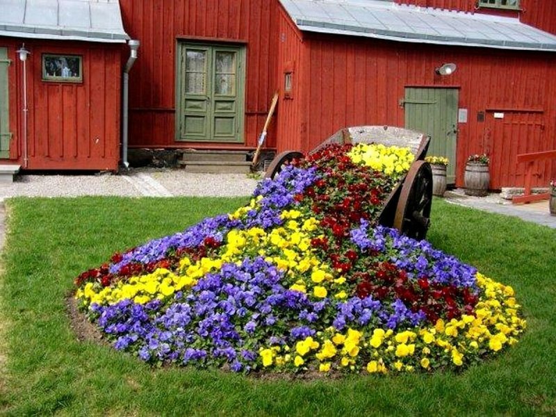Цветочные клумбы