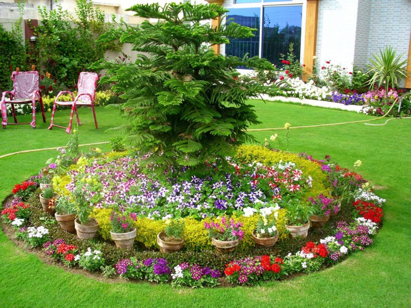 Красивые клумбы