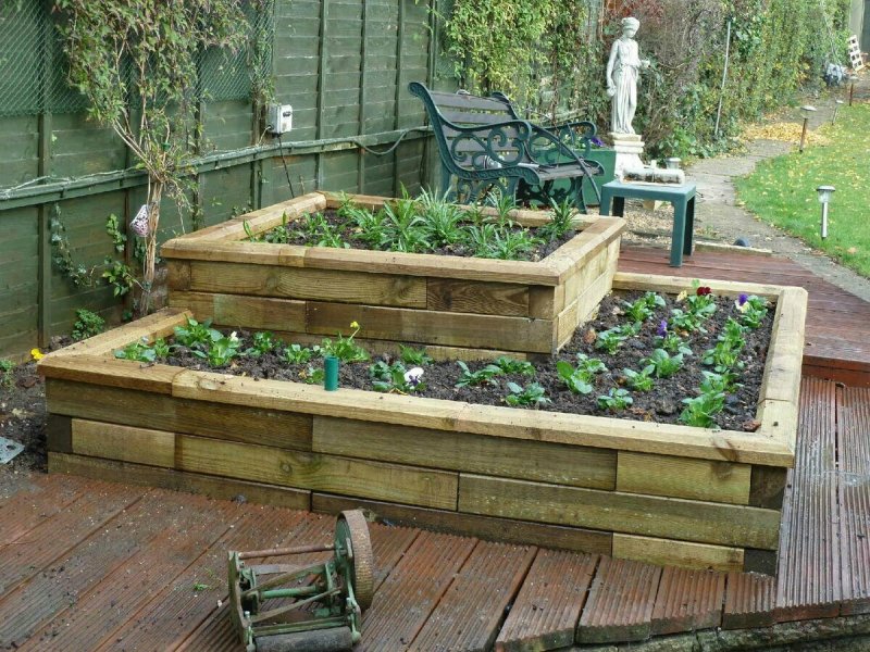 Vegetable Patch