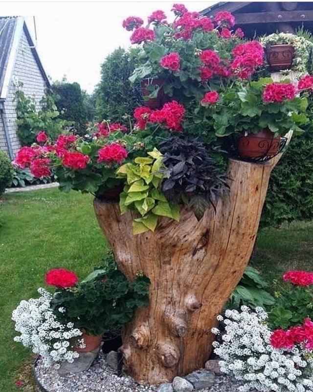 Клумбы для цветов