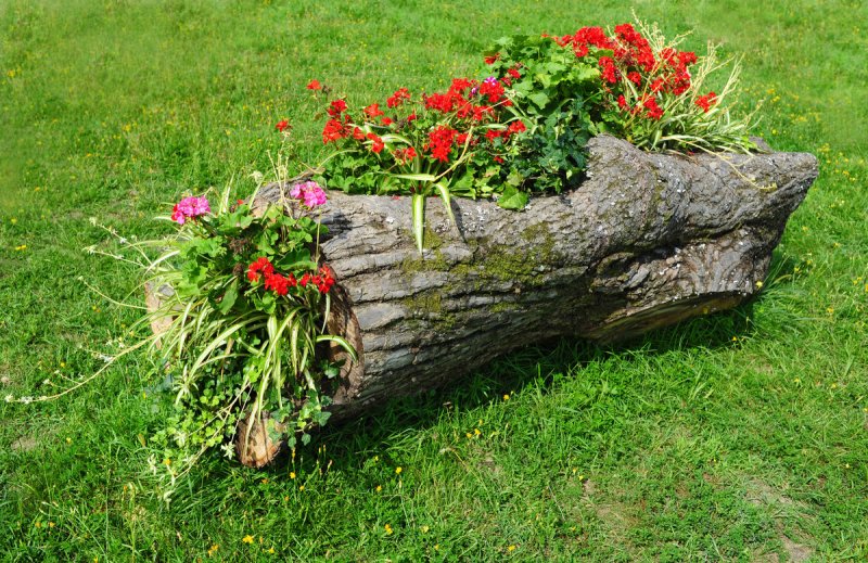 Клумбы из пней и бревен