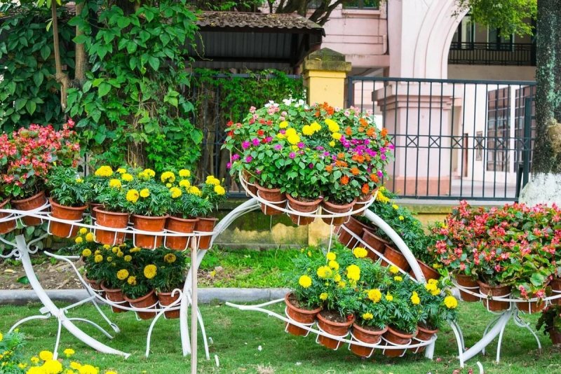 Ландшафтный дизайн садового участка