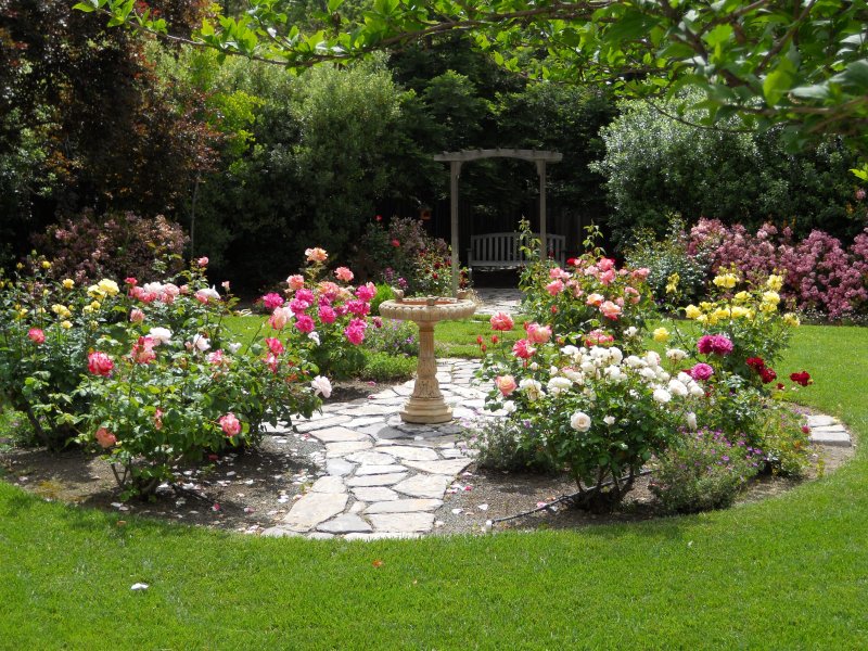 Rose Garden. Розарий.