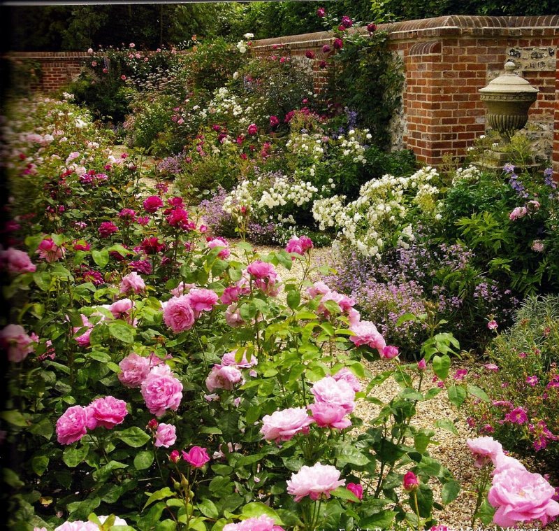 Инглиш Гарден (English Garden)