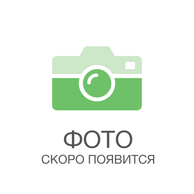 Декоративный клён Гиннала
