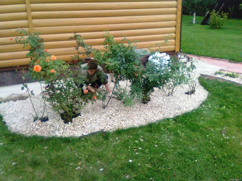 Розарий с щебнем
