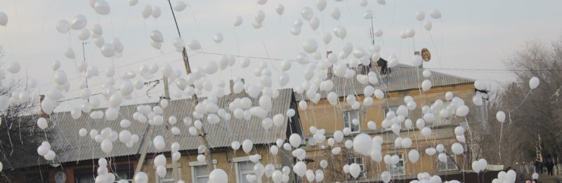 Белые шары на газоне