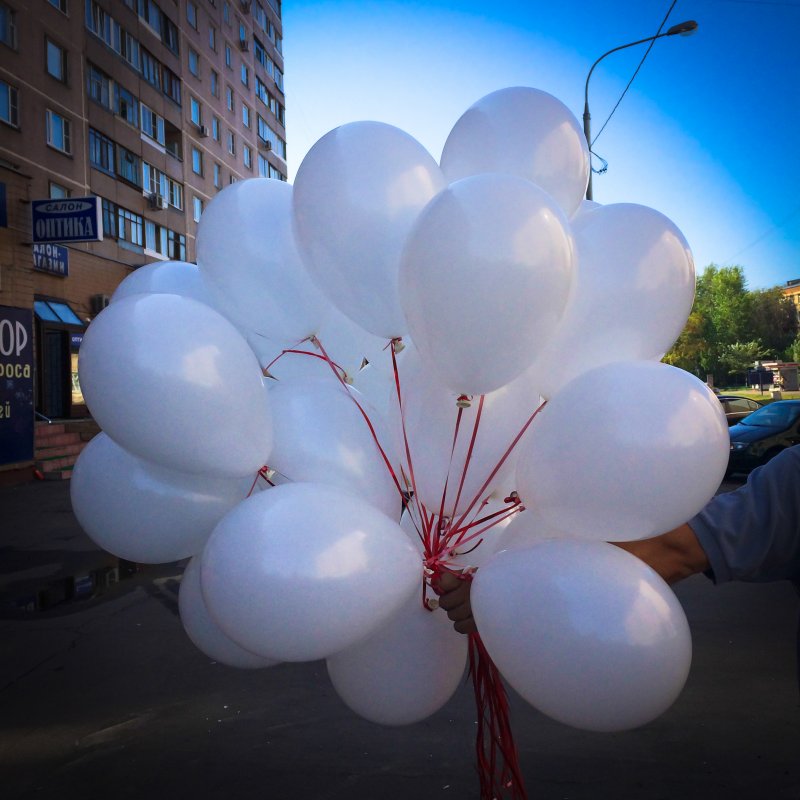Гортензия древовидная Анабель