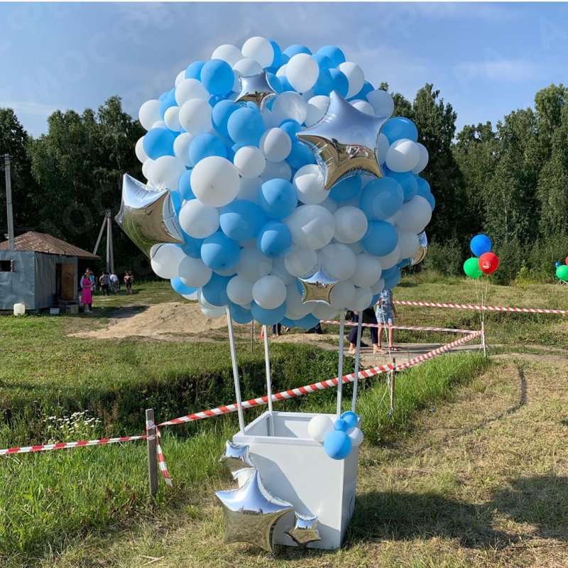 Алиссум снежный