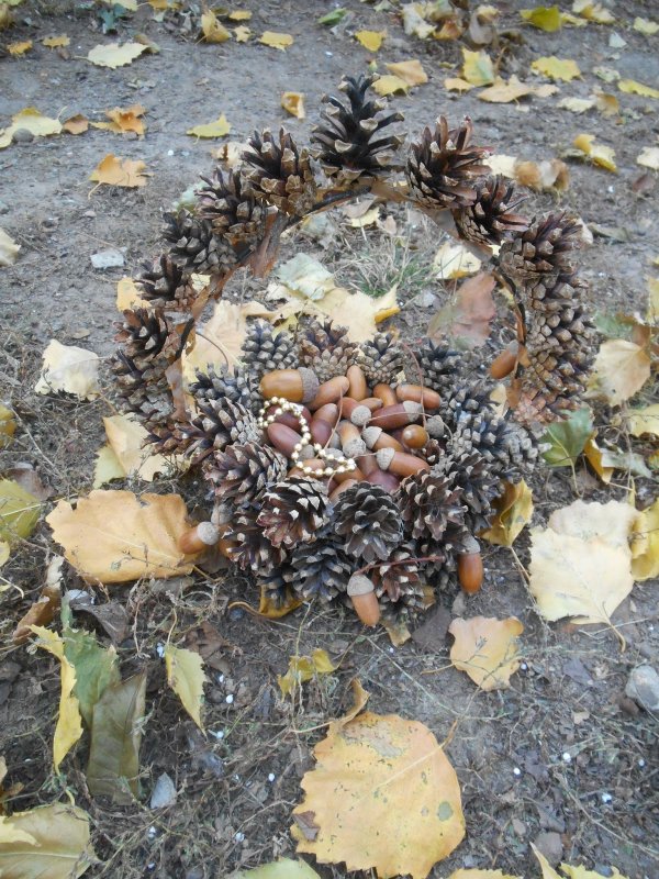 Красиво наполнение корзины из шишек