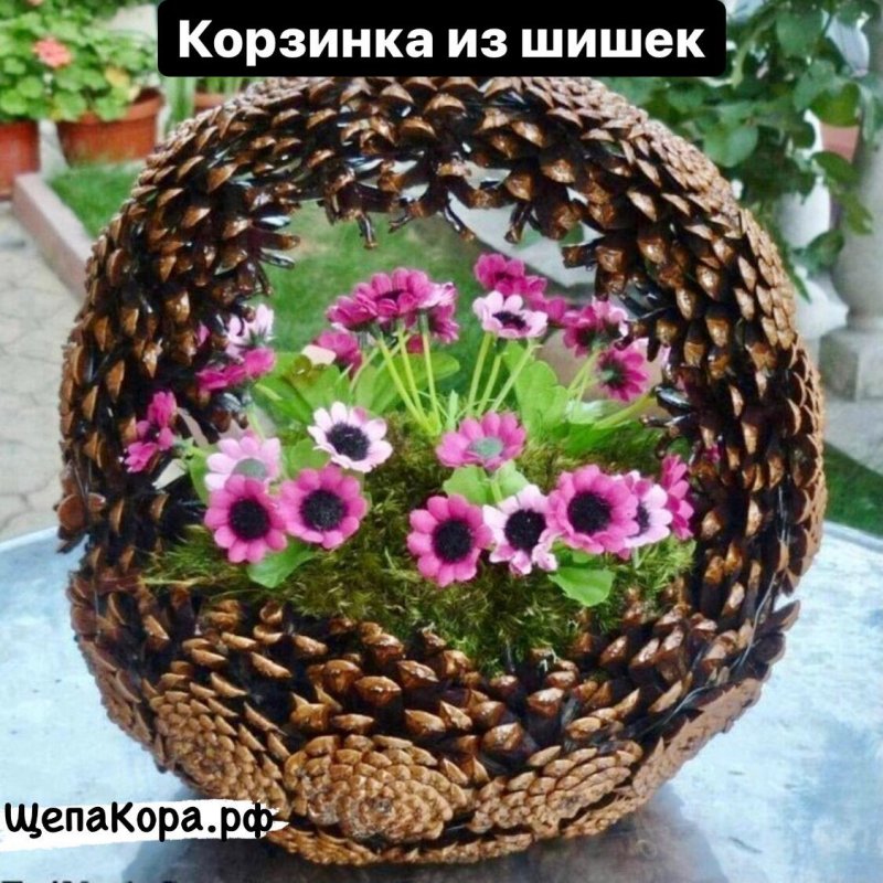 Поделка из природного материала в корзинке