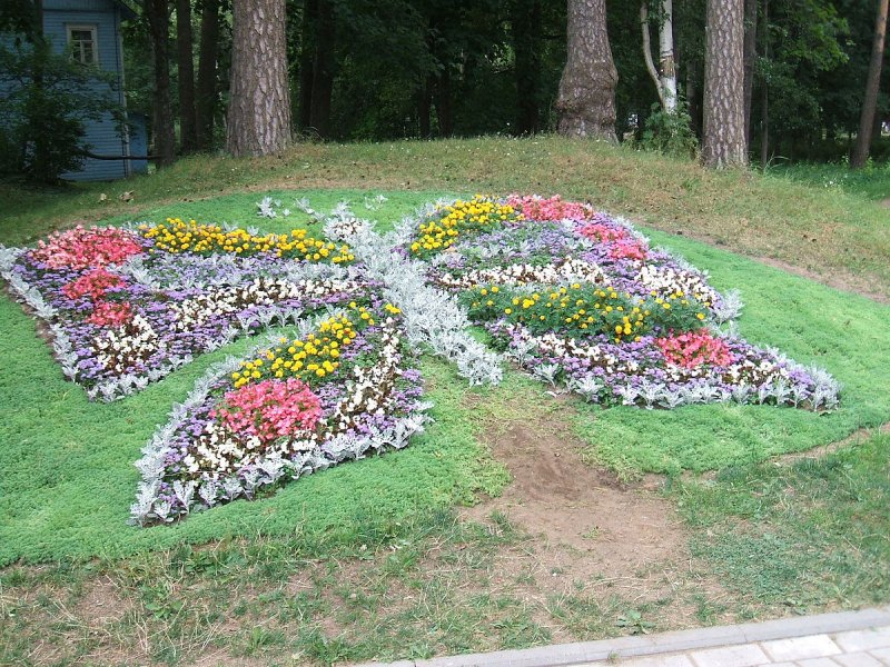 Красивые клумбы в школьном дворе